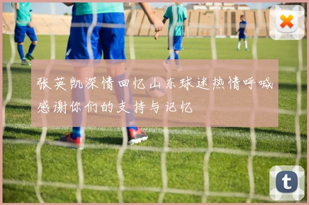 张英凯深情回忆山东球迷热情呼喊感谢你们的支持与记忆